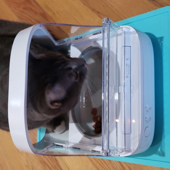 Brand New! SureFeed Microchip Small Dog & Cat Feeder Model# MPF001 - Picture 14 of 16